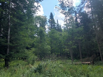 Adirondack land for sale in Forestport, NY