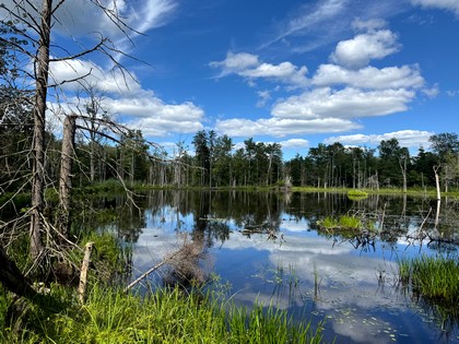 NY land and camp for sale