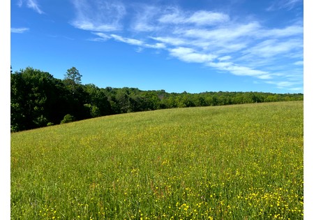 NY Southern Tier hunting land for sale