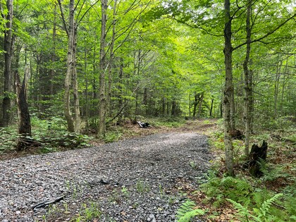 NY hunting land for sale