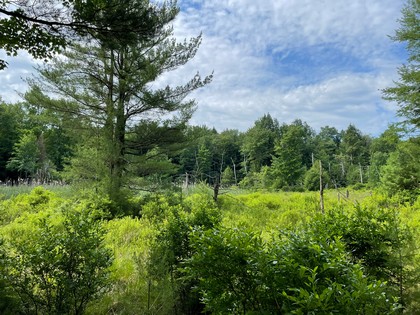 Building lot for home site or camp site in Vienna, NY