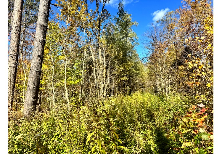 Tug Hill NY land for sale