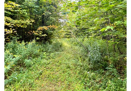 Tug Hill NY land for sale