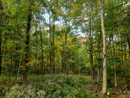 NY camp for sale in Lewis NY