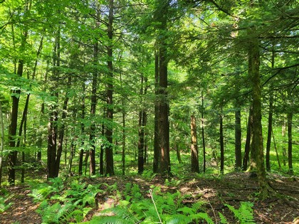 NY land for sale near Oneida Lake