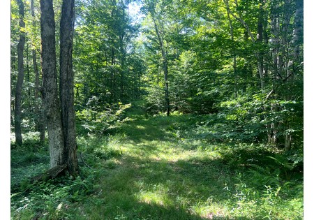 NY hunting land for sale