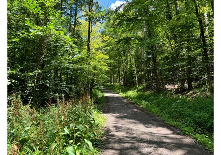 NY hunting land for sale