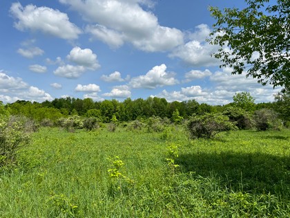 NY land for sale near Salmon River - Orwell, NY