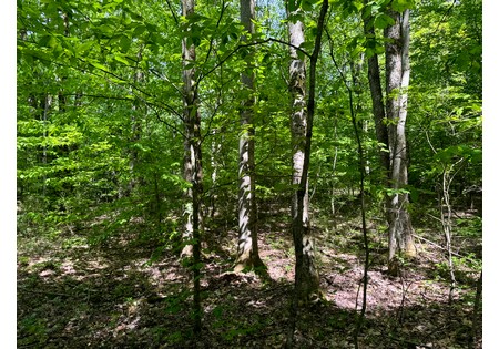Northern NY land for sale