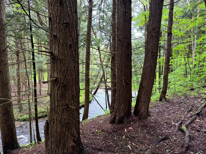 Waterfront land for sale in NY