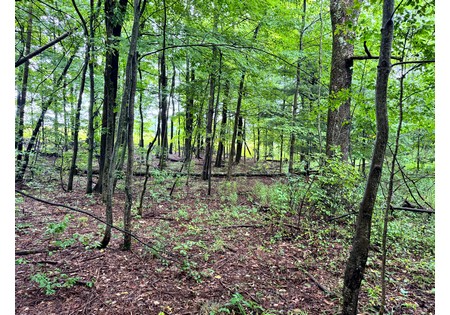 NY Finger Lakes property for sale
