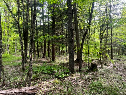 NY camps for sale