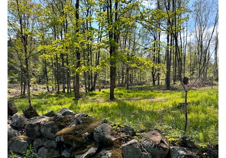 Tug Hill NY land for sale