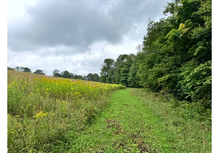 NY Finger Lakes property for sale