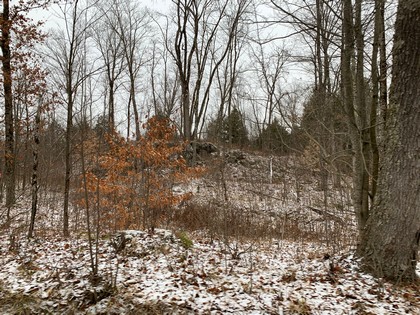 NY hunting land for sale in Diana NY