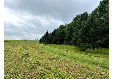 NY Finger Lakes property for sale