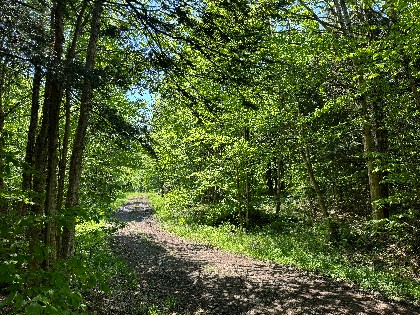 NY waterfront land for sale
