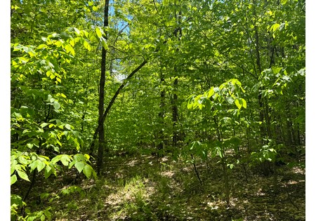 Adirondack land for sale