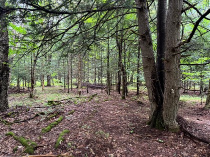 Adirondack land for sale