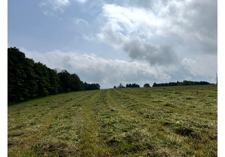 Land for sale Finger Lake area NY