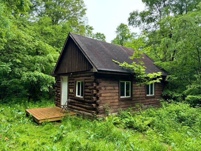 NY log cabin for sale