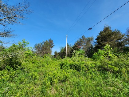 finger lake ny properties for sale