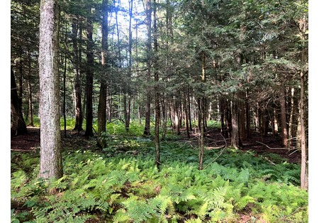 NY hunting camps for sale