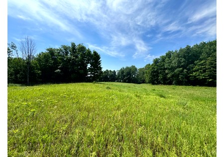 Salmon River NY land for sale