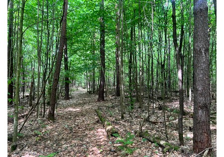 NY land and camps for sale