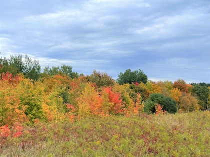 NY land for sale Catskills area