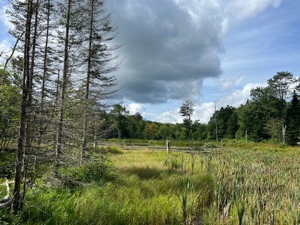 NY waterfront land for sale, land and camps, ny waterfront properties, ny lakefront land, christmas associates