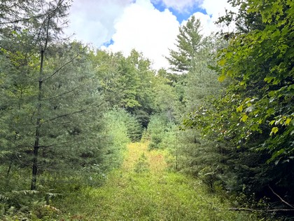 Adirondack land and waterfront for sale