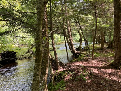 NY waterfront land for sale, land and camps, ny waterfront properties, ny lakefront land, christmas associates