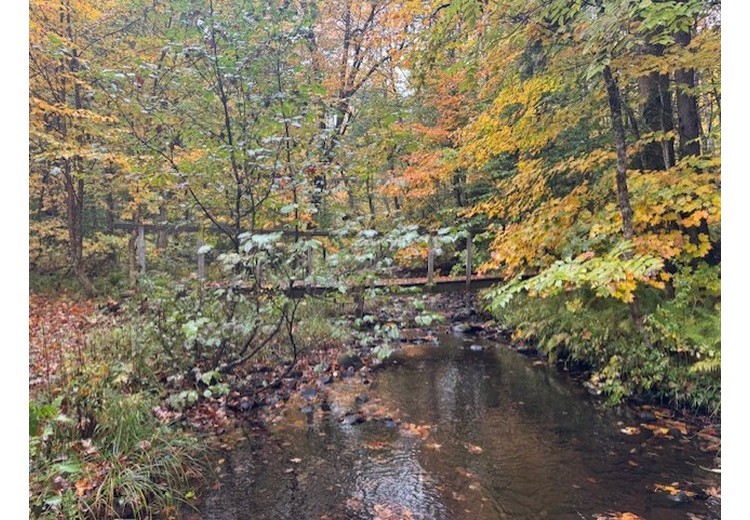 NY hunting camps for sale