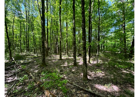 NY land for sale 