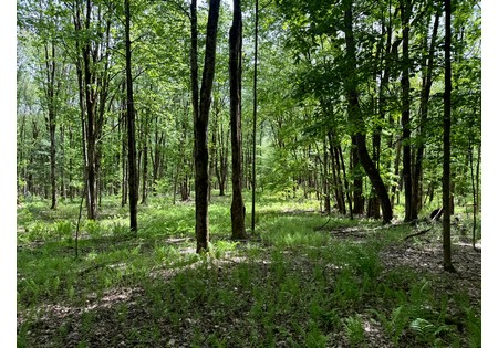 Upstate NY land for sale