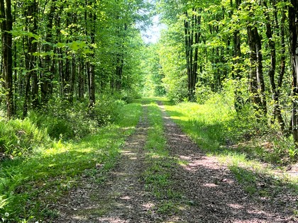 NY land for sale