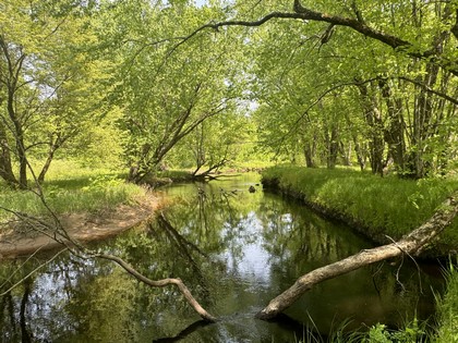 Riverfront land for sale in NY