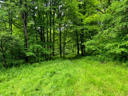 NY log cabin for sale