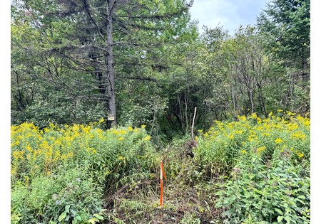 NY land for sale