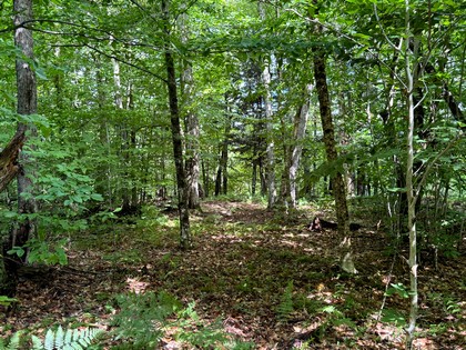 Adirondack land for sale
