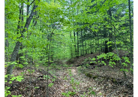 Adirondack land for sale