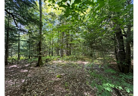 NY land for sale near Salmon River