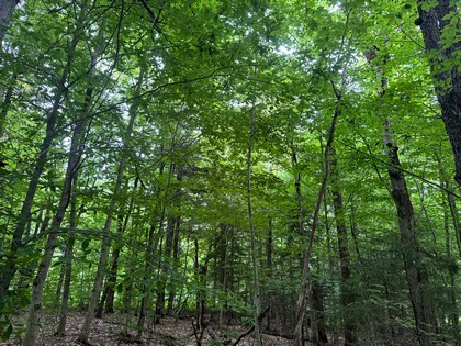 Tug Hill NY land for sale