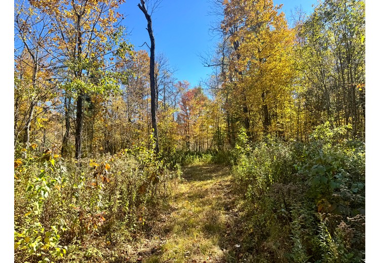 Tug Hill NY land for sale
