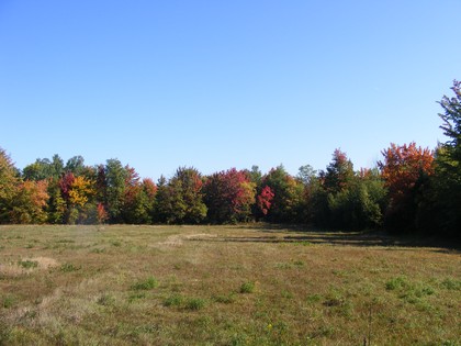 Adirondack waterfront NY land for sale