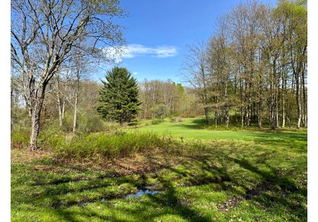 NY hunting camps for sale