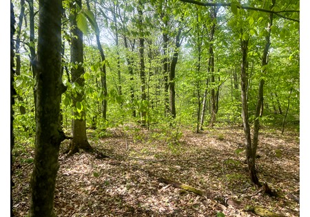 Land for sale NY