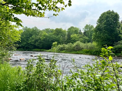 Adirondack waterfront land for sale NY