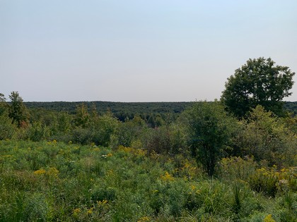 NY land with views Osceola NY